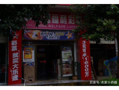 彩票店为什么都开不下去